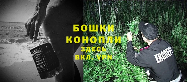 амф Осинники