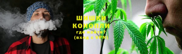 амф Осинники