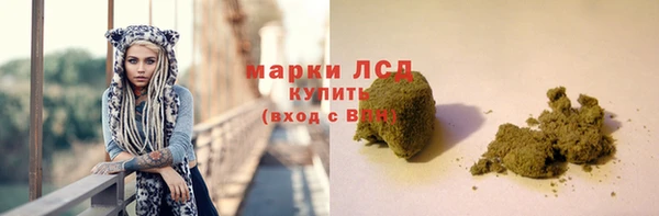 амф Осинники