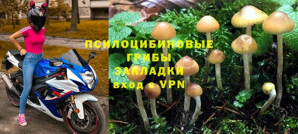 амф Осинники